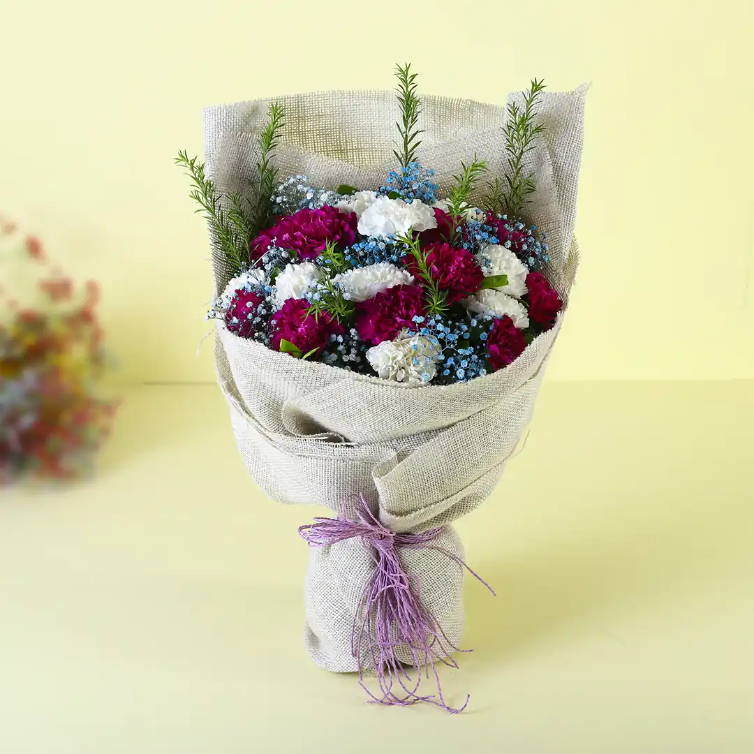 Carnations Bouquet